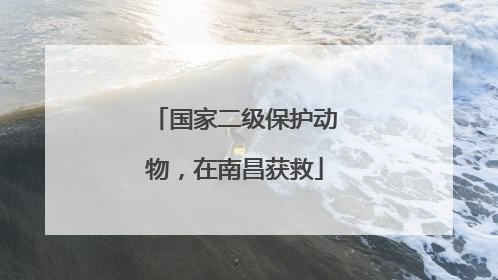 国家二级保护动物，在南昌获救