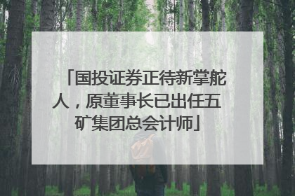 国投证券正待新掌舵人，原董事长已出任五矿集团总会计师