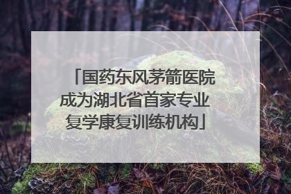 国药东风茅箭医院成为湖北省首家专业复学康复训练机构