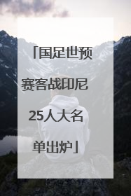 国足世预赛客战印尼25人大名单出炉