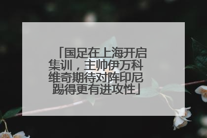 国足在上海开启集训，主帅伊万科维奇期待对阵印尼踢得更有进攻性
