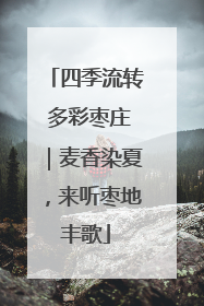 四季流转 多彩枣庄｜麦香染夏，来听枣地丰歌