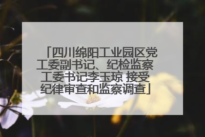 四川绵阳工业园区党工委副书记、纪检监察工委书记李玉琼 接受纪律审查和监察调查