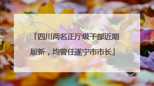 四川两名正厅级干部近期履新，均曾任遂宁市市长