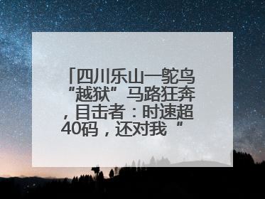 四川乐山一鸵鸟“越狱”马路狂奔，目击者：时速超40码，还对我“笑”了下