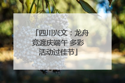 四川兴文：龙舟竞渡庆端午 多彩活动过佳节