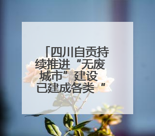 四川自贡持续推进“无废城市”建设 已建成各类“无废细胞”266个