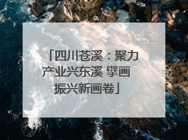 四川苍溪：聚力产业兴东溪 擘画振兴新画卷