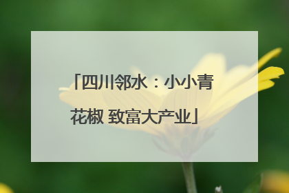 四川邻水：小小青花椒 致富大产业