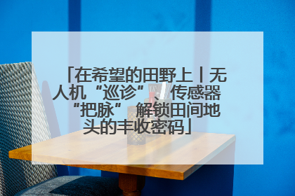 在希望的田野上丨无人机“巡诊”、传感器“把脉” 解锁田间地头的丰收密码