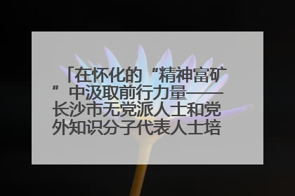 在怀化的“精神富矿”中汲取前行力量——长沙市无党派人士和党外知识分子代表人士培训班在怀化圆满举办
