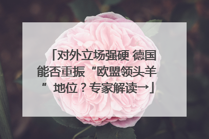 对外立场强硬 德国能否重振“欧盟领头羊”地位？专家解读→