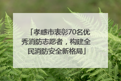 孝感市表彰70名优秀消防志愿者，构建全民消防安全新格局