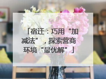 宿迁：巧用“加减法”，探索营商环境“最优解”