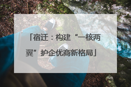 宿迁：构建“一核两翼”护企优商新格局