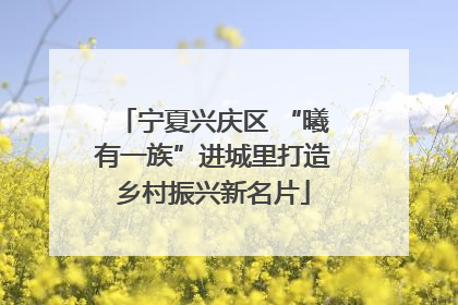 宁夏兴庆区 “曦有一族”进城里打造乡村振兴新名片