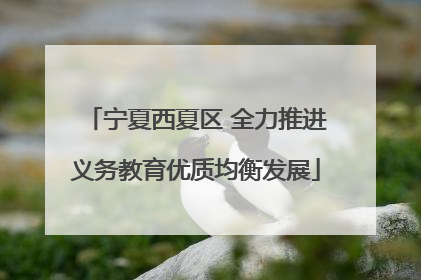 宁夏西夏区 全力推进义务教育优质均衡发展