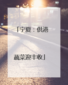 宁夏：供港蔬菜迎丰收