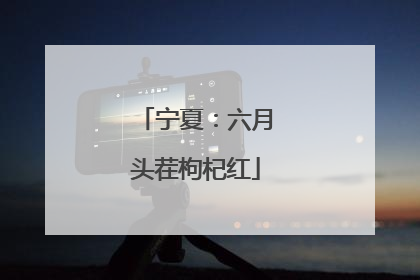 宁夏：六月头茬枸杞红