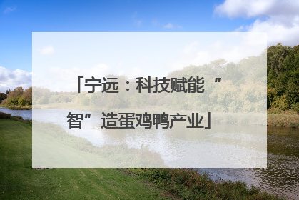 宁远：科技赋能“智”造蛋鸡鸭产业