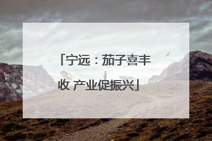 宁远：茄子喜丰收 产业促振兴