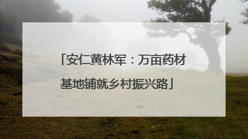 安仁黄林军：万亩药材基地铺就乡村振兴路