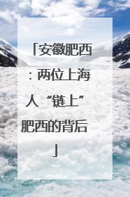 安徽肥西：两位上海人“链上”肥西的背后