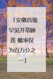 安徽首现罕见并蒂睡莲 概率仅为百万分之一
