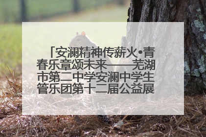 安澜精神传薪火•青春乐章颂未来——芜湖市第二中学安澜中学生管乐团第十二届公益展演圆满举行