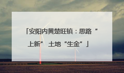 安阳内黄楚旺镇：思路“上新” 土地“生金”