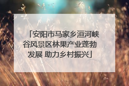 安阳市马家乡洹河峡谷风景区林果产业蓬勃发展 助力乡村振兴