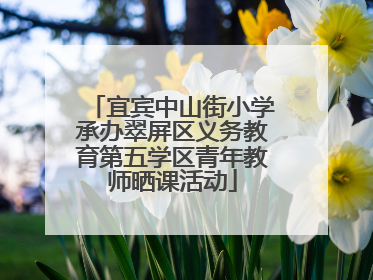 宜宾中山街小学承办翠屏区义务教育第五学区青年教师晒课活动