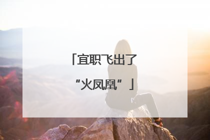 宜职飞出了“火凤凰”