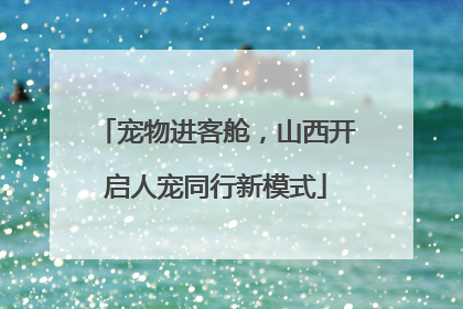 宠物进客舱，山西开启人宠同行新模式