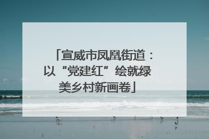 宣威市凤凰街道：以“党建红”绘就绿美乡村新画卷