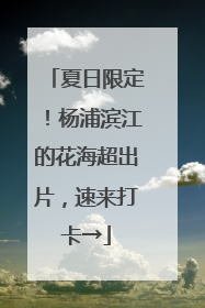 夏日限定！杨浦滨江的花海超出片，速来打卡→