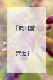 夏日露营去