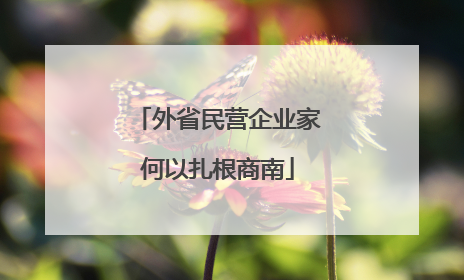 外省民营企业家何以扎根商南