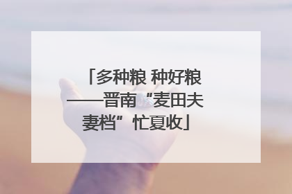 多种粮 种好粮——晋南“麦田夫妻档”忙夏收