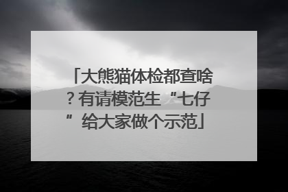 大熊猫体检都查啥？有请模范生“七仔”给大家做个示范