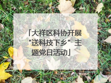 大祥区科协开展“送科技下乡”主题党日活动