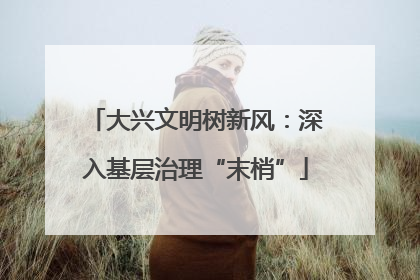 大兴文明树新风：深入基层治理“末梢”