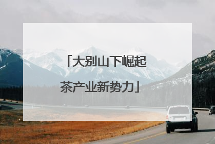 大别山下崛起茶产业新势力