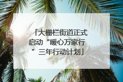 大栅栏街道正式启动“暖心万家行”三年行动计划