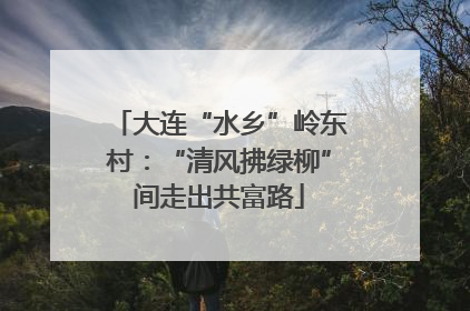 大连“水乡”岭东村：“清风拂绿柳”间走出共富路