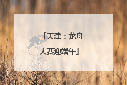 天津：龙舟大赛迎端午