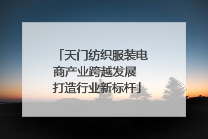 天门纺织服装电商产业跨越发展 打造行业新标杆