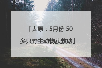 太原：5月份 50多只野生动物获救助