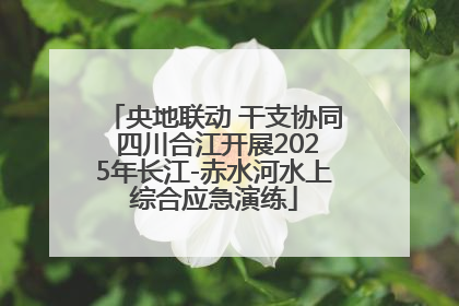 央地联动 干支协同 四川合江开展2025年长江-赤水河水上综合应急演练