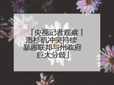 央视记者观察丨洛杉矶冲突持续 暴露联邦与州政府巨大分歧